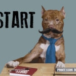 Squarish_Professor_Dog